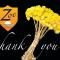 ZOE