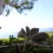 Volcano View Nisyros