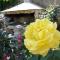 Holiday Home Iris
