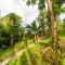 Paradiselodge Jungleguesthouse