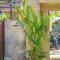 TropicalVibes 4BR RiceField, Ocean & Volcano view Canggu !