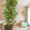 Helena terras penthouse