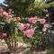 Le Clos Beldane
