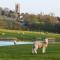 SHEPHERDS HUT