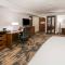 Fairfield Inn & Suites by Marriott Dallas DFW Airport South/Irving - Irving