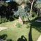 Villetta in pineta con giardino a 150 mt. dal mare