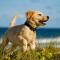CSC3M - Dawn Patrol - Kill Devil Hills