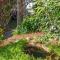 Seagrass Pet Friendly 10 Mins Walk to Beach