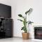 Apartament BEKA