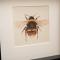 Bees Townhouse- Cupar