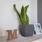 Apartman Filip