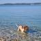 Holiday home Smokvin Hlad