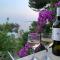Luxury Seaside Villa with a classic Mediterranean Olive Garden, a fully equipped Professional Kitchen, Pool, Sauna, Padle Boards and Canoe - Miolin Beach House