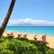Maui Kaanapali Villas A210
