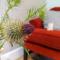 Self-Catering Suite in rural guest house 10 min to Islay Ferry Terminal - Ronachan