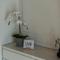 Jungfrau-View Apartment, terrace & free parking