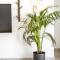 GK Sky View by GK Properties - Athen