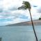 Kihei Beach 508