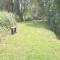 Les Bruyeres B&B