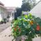 Semi-detached house with sauna - 许温凯
