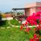 sole chiaro home