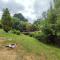 Tree Fern Barn