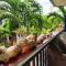 Riverside at Aninuan Accommodation and Food