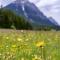 Karwendel Berglodge