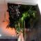 Le Vulcano : duplex lounge !