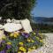 Villa Vinisce View