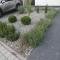 Sosnowe Zacisze Apartament