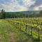 Purple Eye Camp & Winery