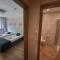 Apartamenty Willove Wzgórze - 杜什尼基-兹德鲁伊