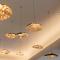 Bellerive Lifestyle Hotel