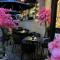 Boutique Guest House Coco