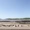 Saltflats Cottage - Rockcliffe