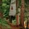 Cottage Galileo in Abastumani