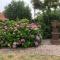Laaker Villa nearby outlet Roermond