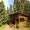 Pin chalet