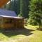 Pin chalet