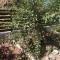 DIAMOND Stone Wooden Guest House