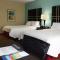 Hampton Inn Austin Oak Hill - Austin