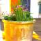 Private Wine Country-River Bungalow! Sunny Treetop Views - Pets Stay Free