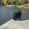 Lake Shafer Resort