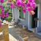 The Blooming House