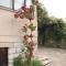 Mon Perin Castrum - Studio Apartment Adriano