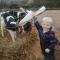 Park Gate, Colyton, farm,near beaches-‘Annie’