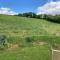 Park Gate, Colyton, farm,near beaches-‘Annie’
