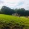 Park gate house farm holidays, Colyton-‘Elizabeth