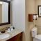 Hampton Inn Chickasha - Chickasha